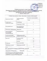 учебный план 1М класс